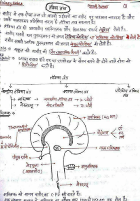 biology notes in hindi 12th class download pdf | जीव विज्ञान कक्षा 12 नोट्स 2023 2024 पीडीएफ डाउनलोड